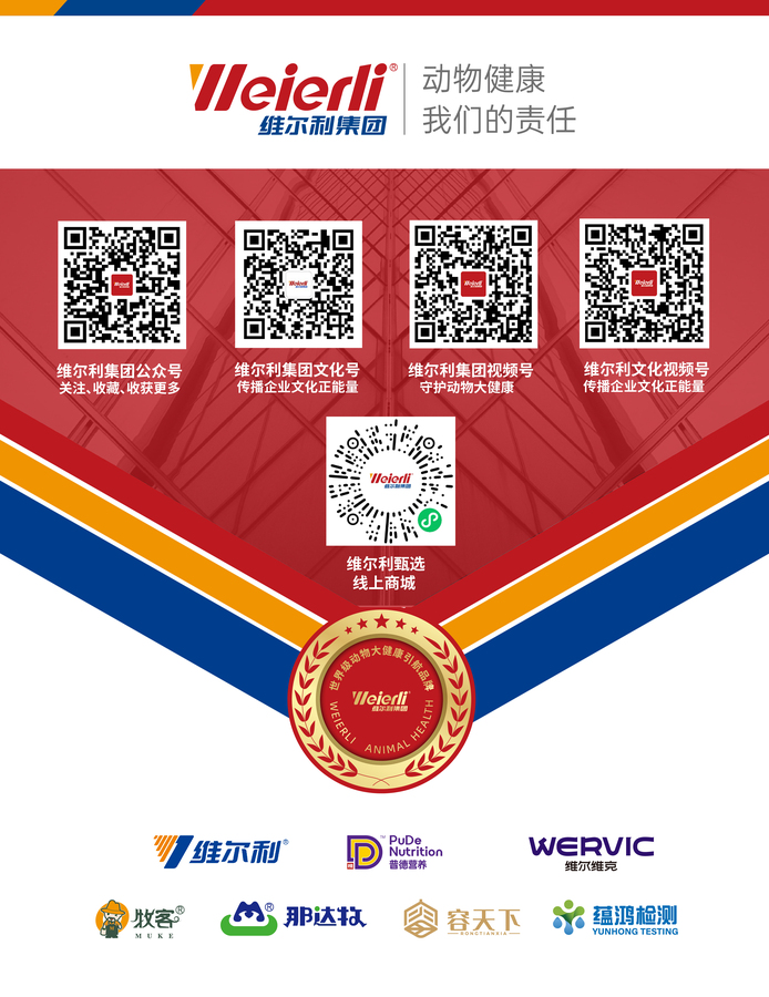 （2025年新）微信公众号底图-20250225-03.jpg