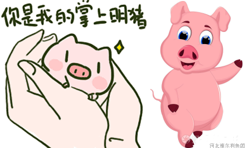 微信截图_20220110095552.png