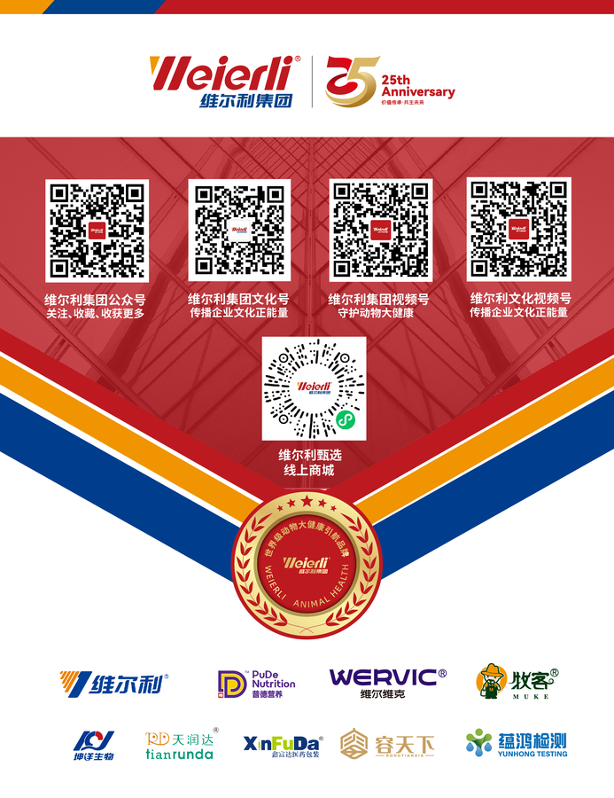 （2026年新）公众号页脚版本20260323-25周年.jpg