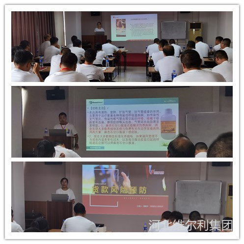 微信图片_20210908140651_副本.png